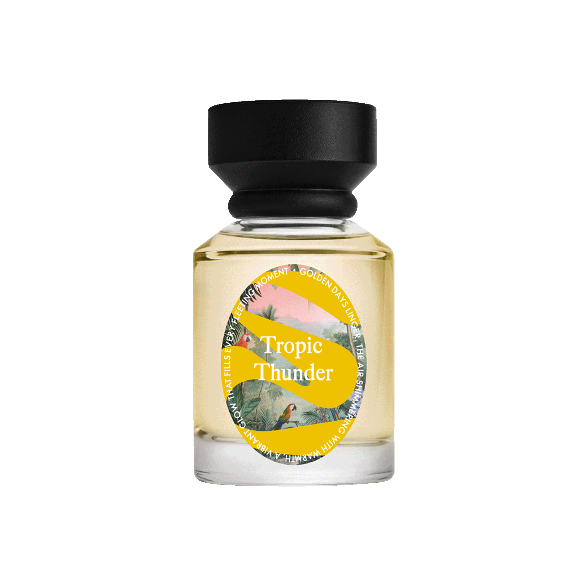 Парфюмерная вода Топ Сентс Тропик Тандер / Top Scents Tropic Thunder