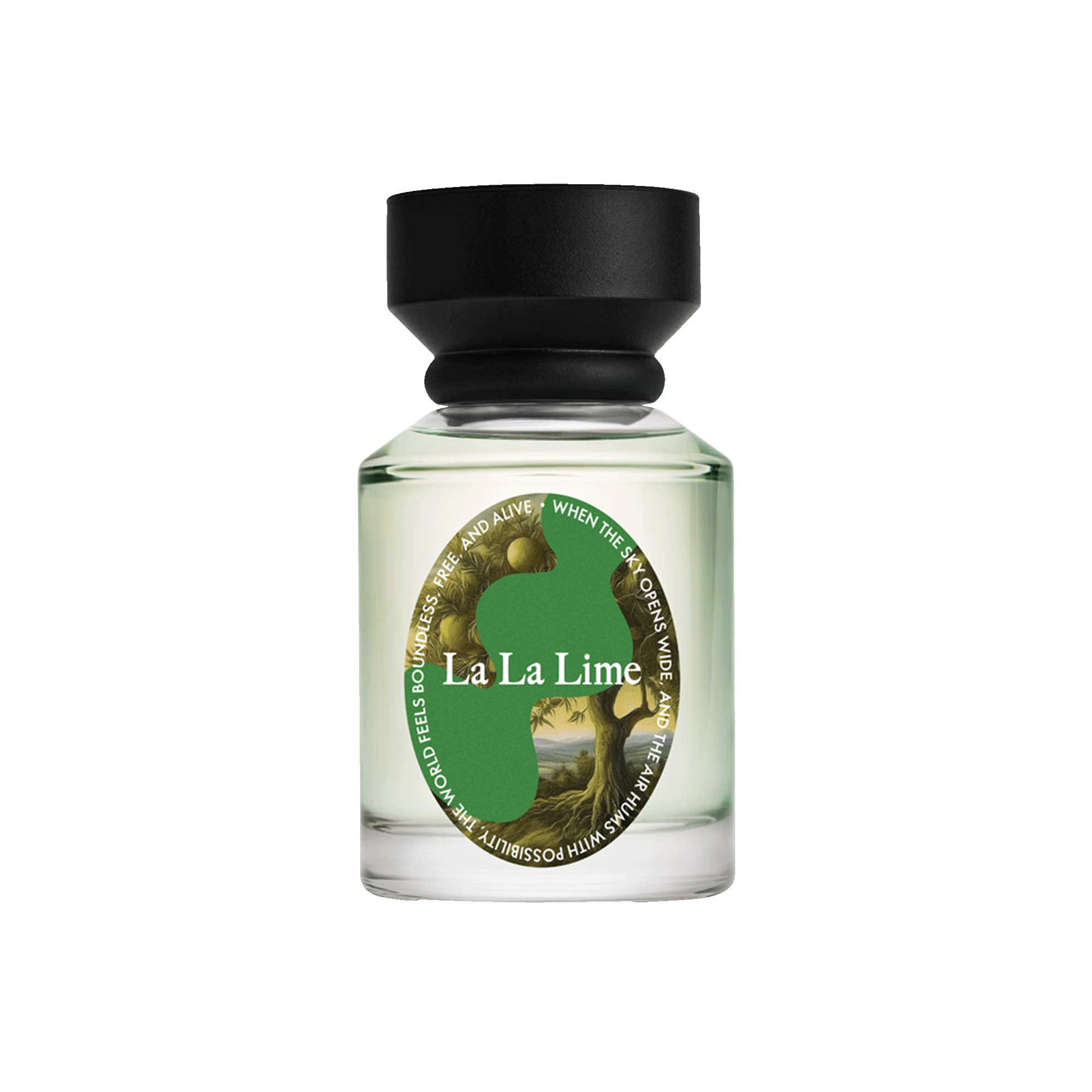 Парфюмерная вода Топ Сентс Ла Ла Лайм / Top Scents La La Lime